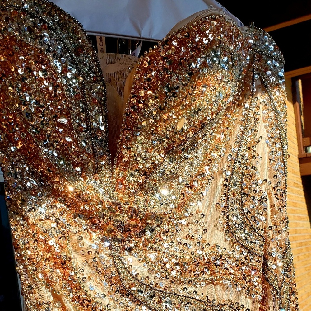 Plus Size 14 Champagne Gold Beaded Pageant Gown